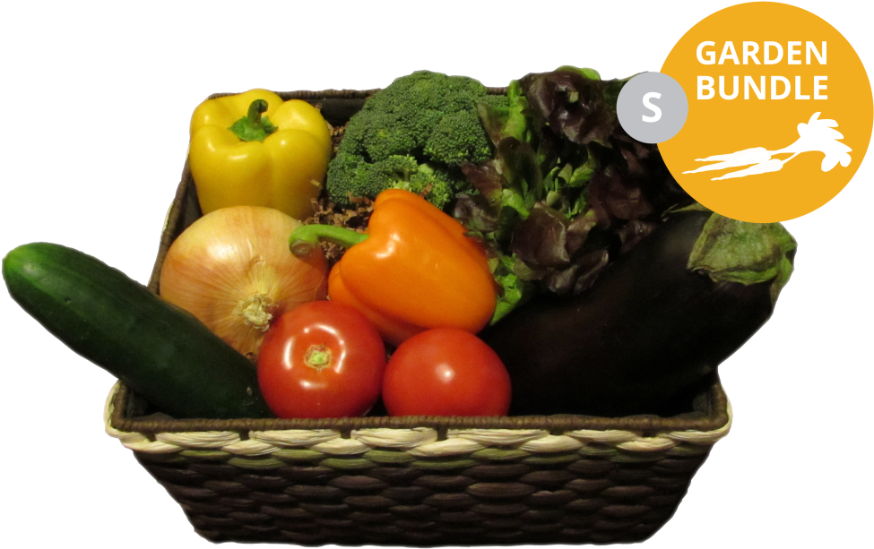 Our Fresh Baskets - Broccoli (1024x768), Png Download