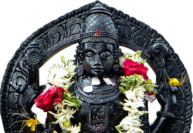 Sri Varadaraja Venkataramana Temple, Hariharapura - Statue (844x564), Png Download