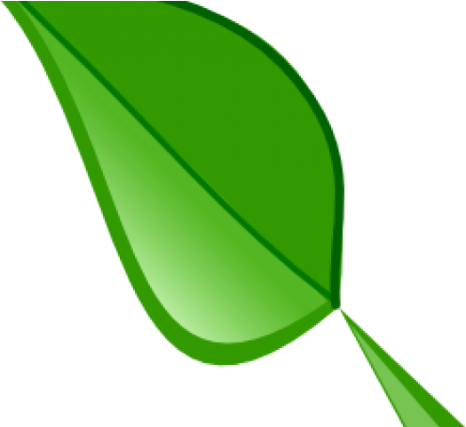 Green (640x480), Png Download