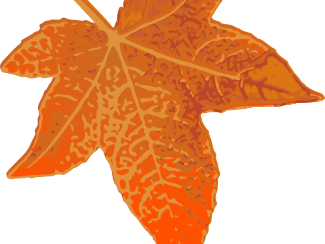 Maple Leaf Clipart 7 Leaves - Maplestory F5 Transparent Background (640x480), Png Download