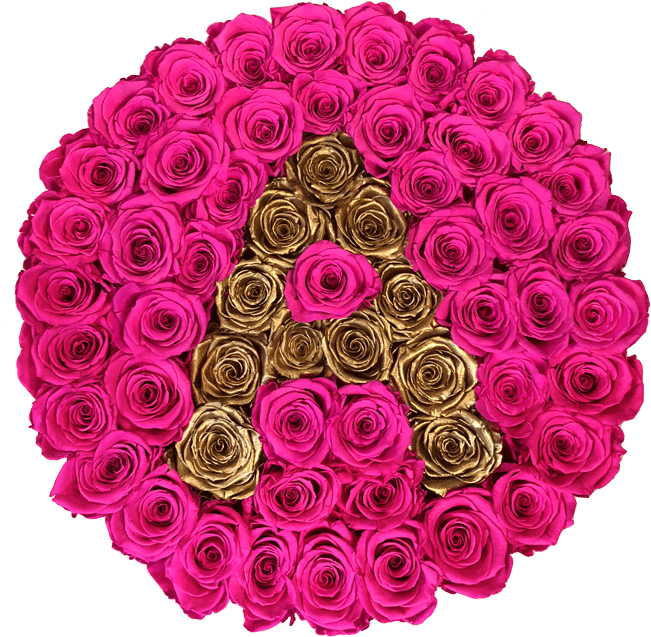 Personalize It - Garden Roses (800x776), Png Download