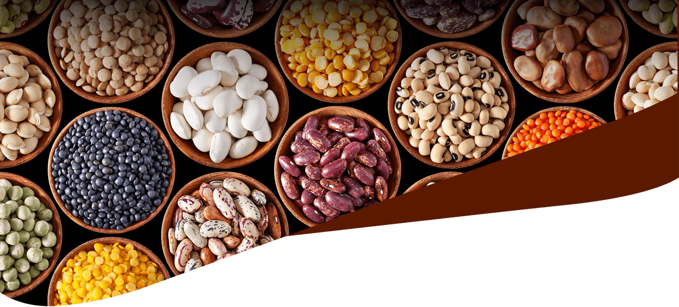 Dry Fruits - Dry Fruit Banners Png (1400x633), Png Download