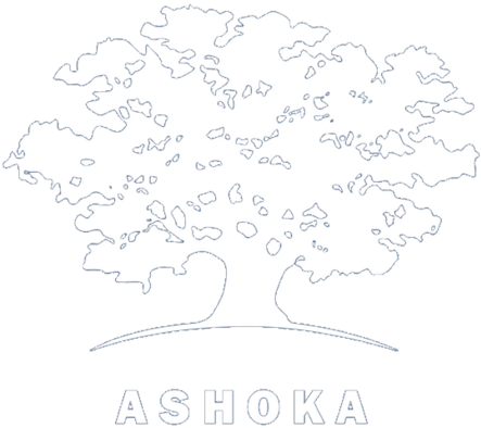 Ashoka (1000x411), Png Download