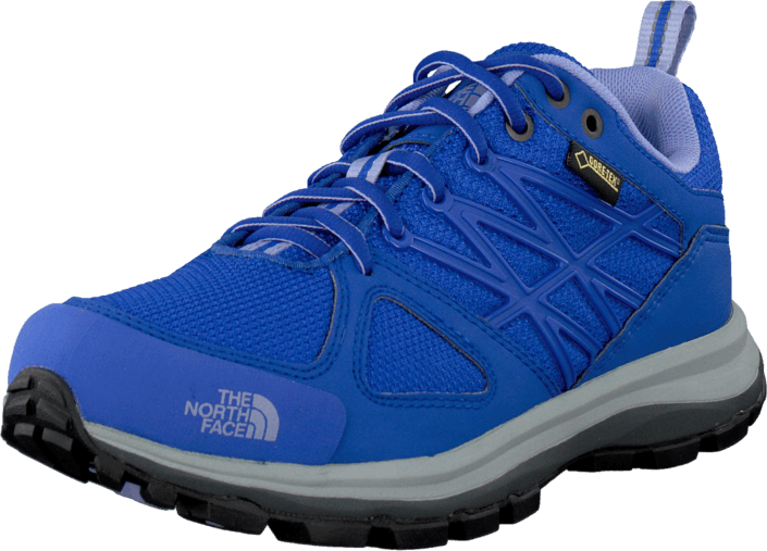 The North Face W Litewave Gtx Vibrant Blue/lavendula - North Face (705x507), Png Download
