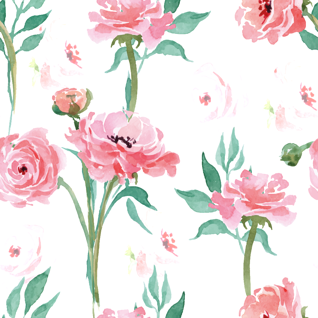 Pink Flower Cartoon Background - Garden Roses (1024x1024), Png Download