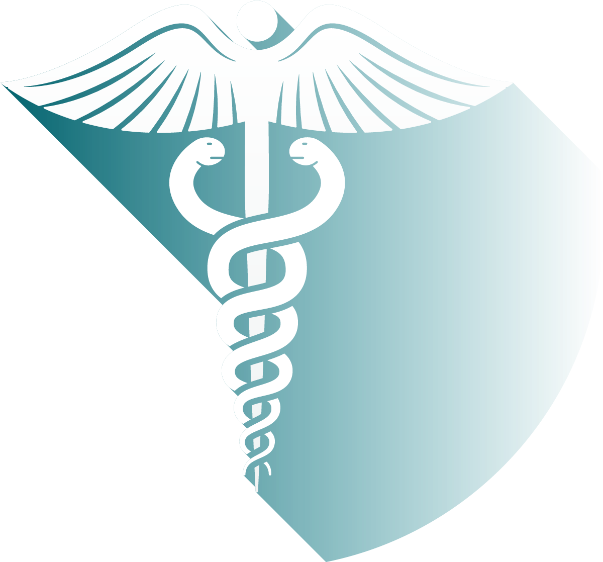Icon Medical - Emblem (1292x1283), Png Download