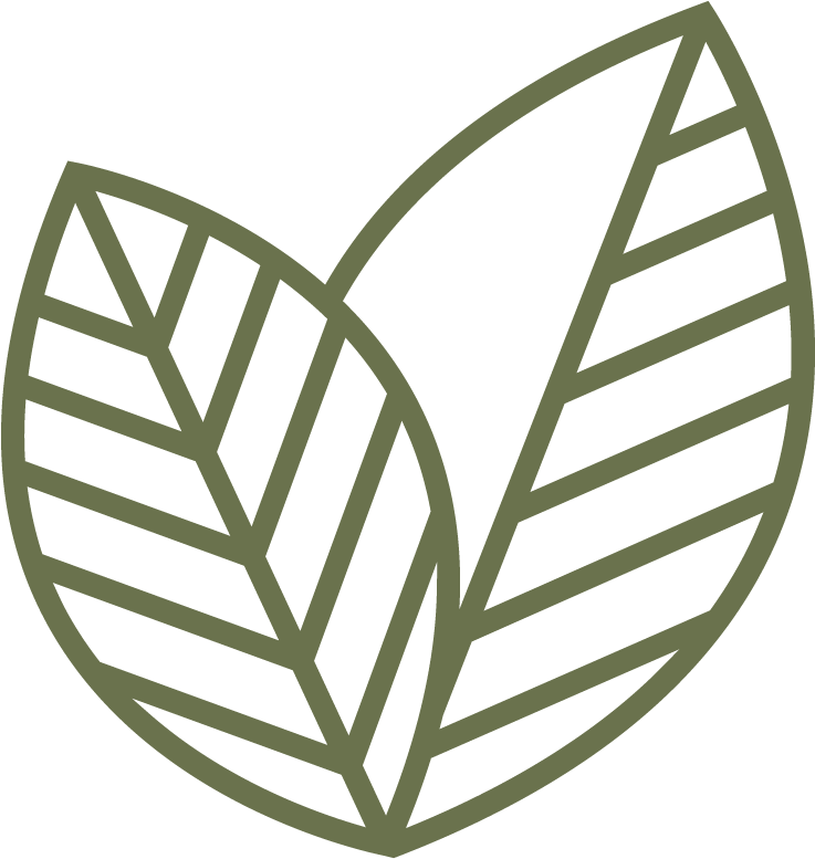 Mnt Logo Leaves - Line Art (776x776), Png Download