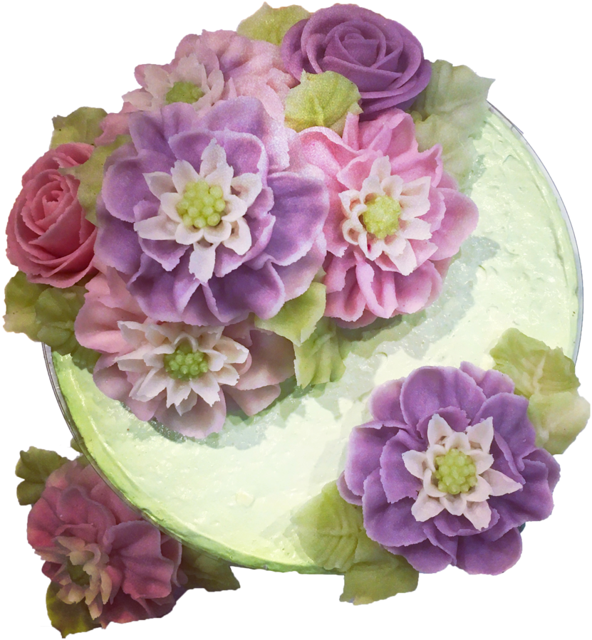 Img 5111 N (1000x1000), Png Download