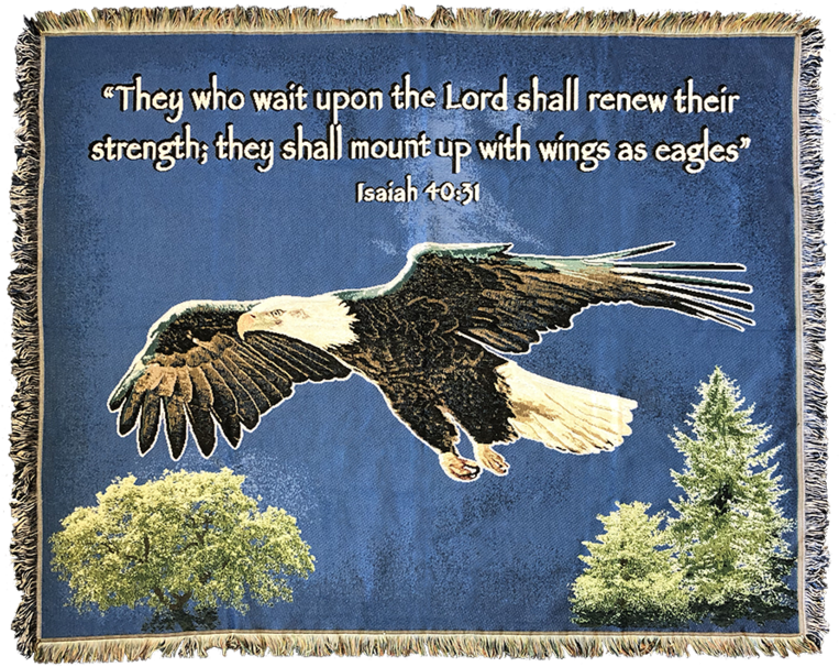 On Eagles Wings Blanket - Bald Eagle (800x636), Png Download