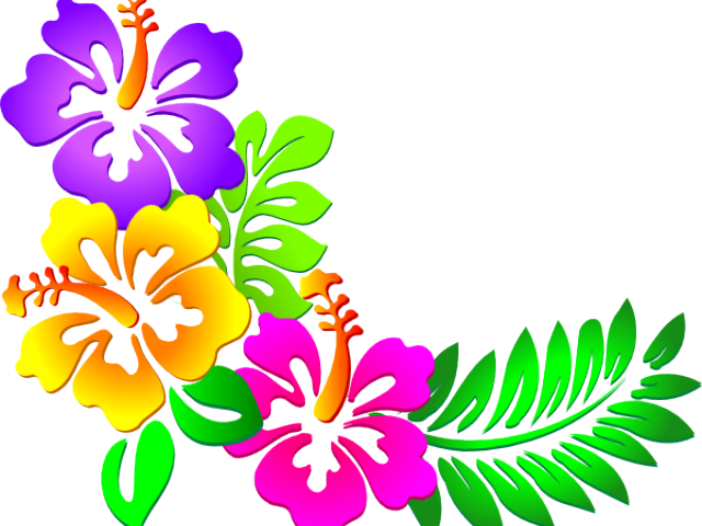 Graphic Design Art Flower Hd - Imagenes De Flores Hawaianas (640x480), Png Download