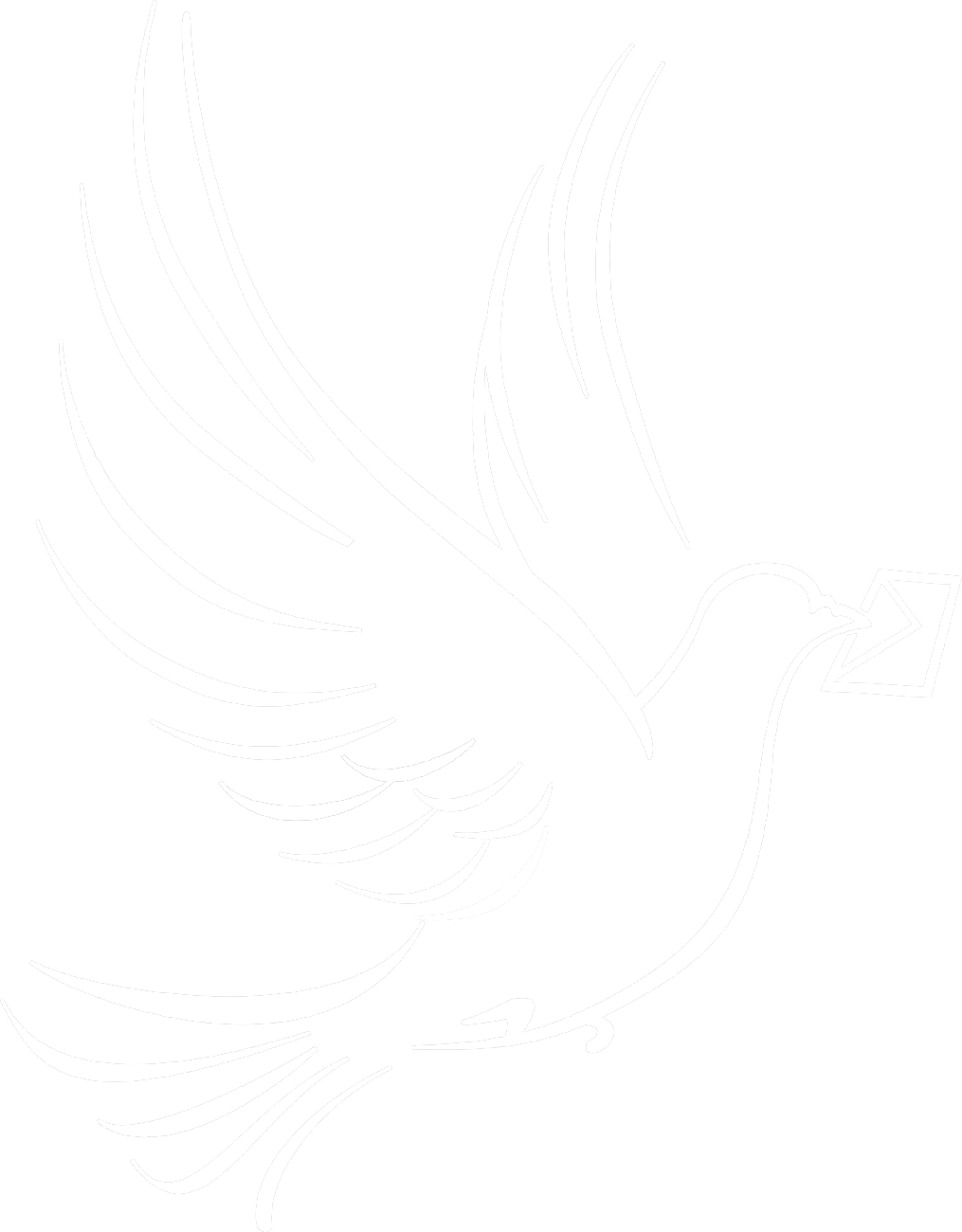 Carrier Pigeon - Illustration (1015x1300), Png Download