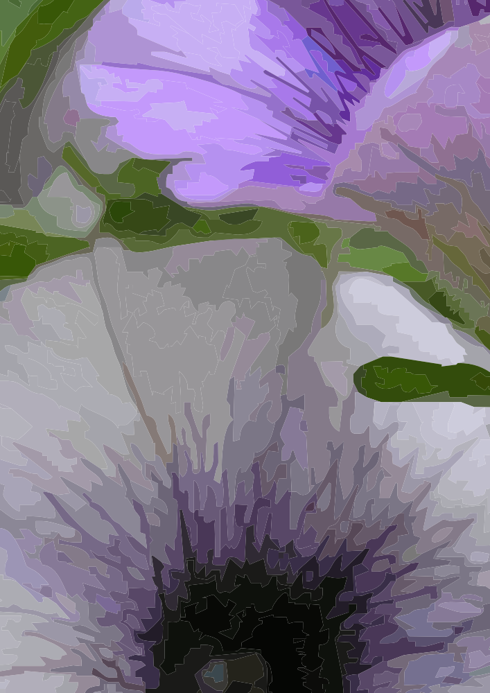 Flower Basket - African Daisy (707x1000), Png Download