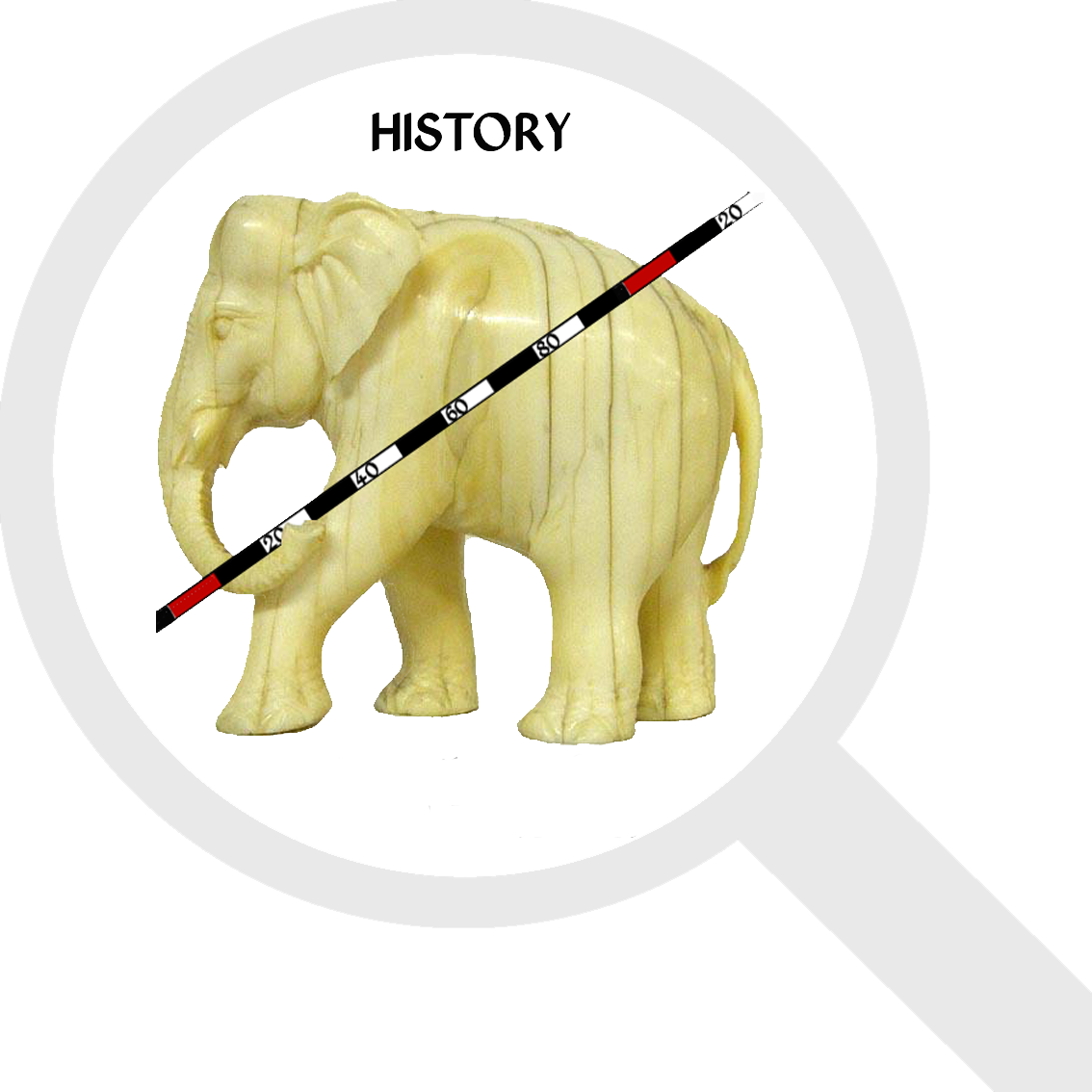 X Le Boquet - African Elephant (1134x1134), Png Download