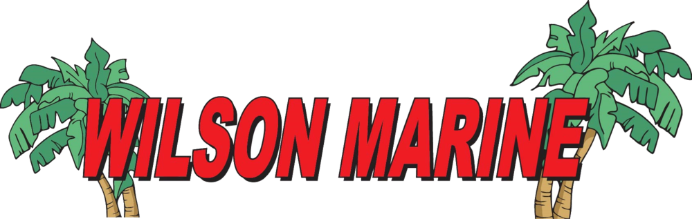 Wilson Marine - Graphics (1000x317), Png Download