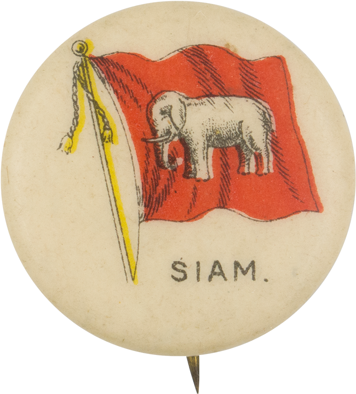 Siam Flag - African Elephant (1000x929), Png Download