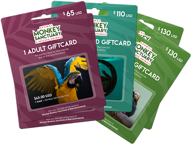 Akumal Monkey Sanctuary Gift Card Is The Perfect Treat - Graphic Design (677x500), Png Download