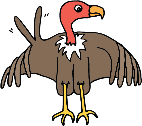 Letter V - Turkey (900x900), Png Download