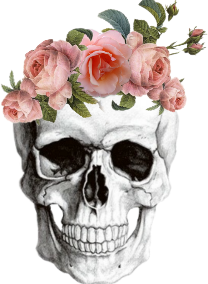 Anatomy Skull Skullsticker Flowers Tumblr - Middle School Shading Worksheet (1024x1024), Png Download