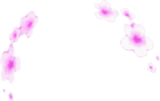 Free Png Download Transparent Flower Crown Tumblr Png - Illustration (850x658), Png Download