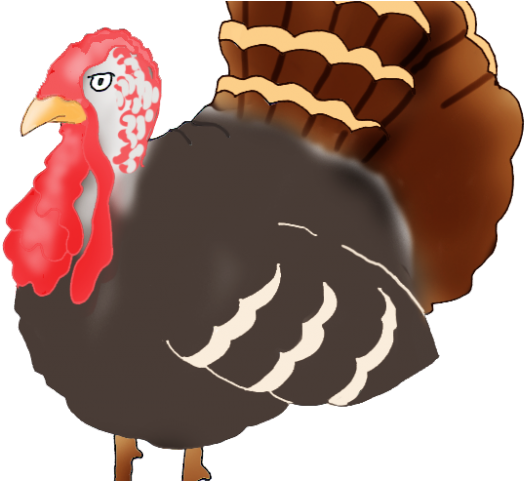 Drawn Turkey Transparent - Turkey (640x480), Png Download