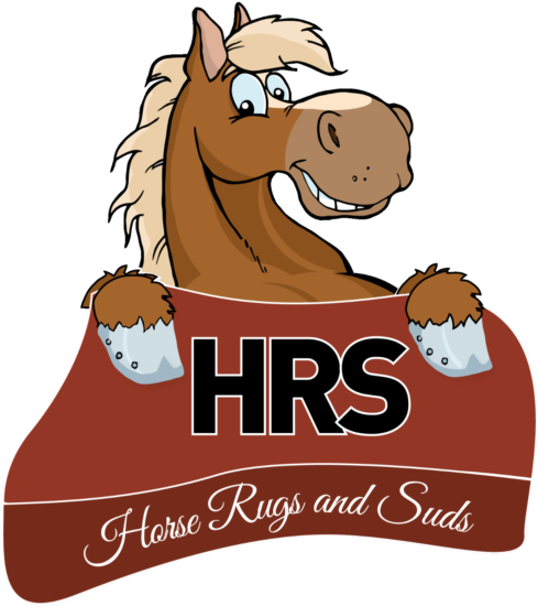 Horse Rugs And Suds - Kindergarten Roundup Flyer (640x640), Png Download