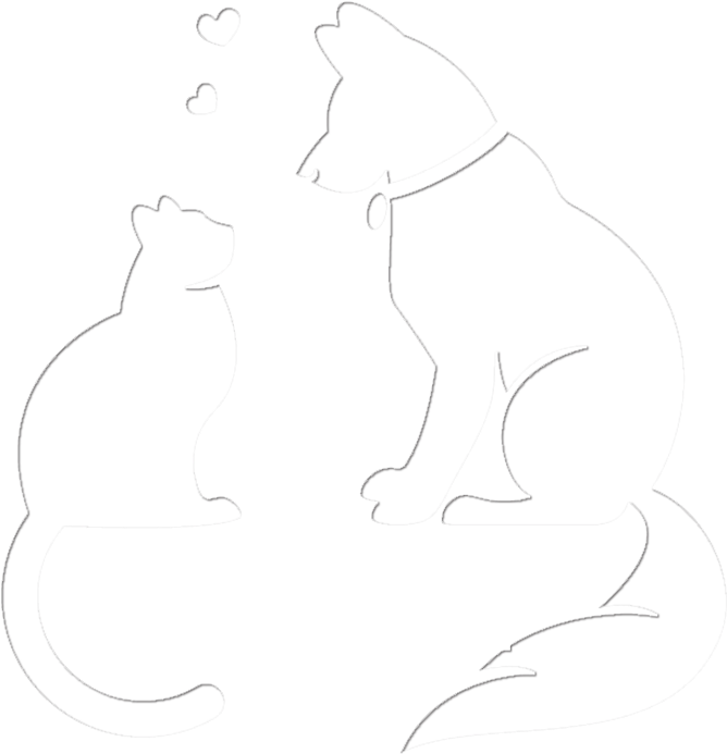 Boutique Dog Cat - Squitten (800x838), Png Download