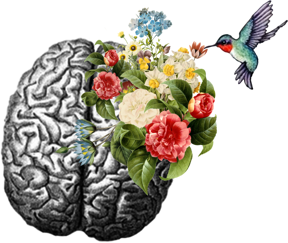 Hummingbird Brain - Sticker - Emotional Intelligence Psychology Today (1024x863), Png Download
