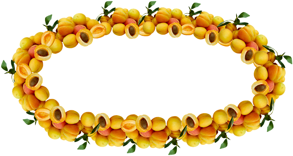 Jam Clipart Apricot Jam - Circle (960x520), Png Download