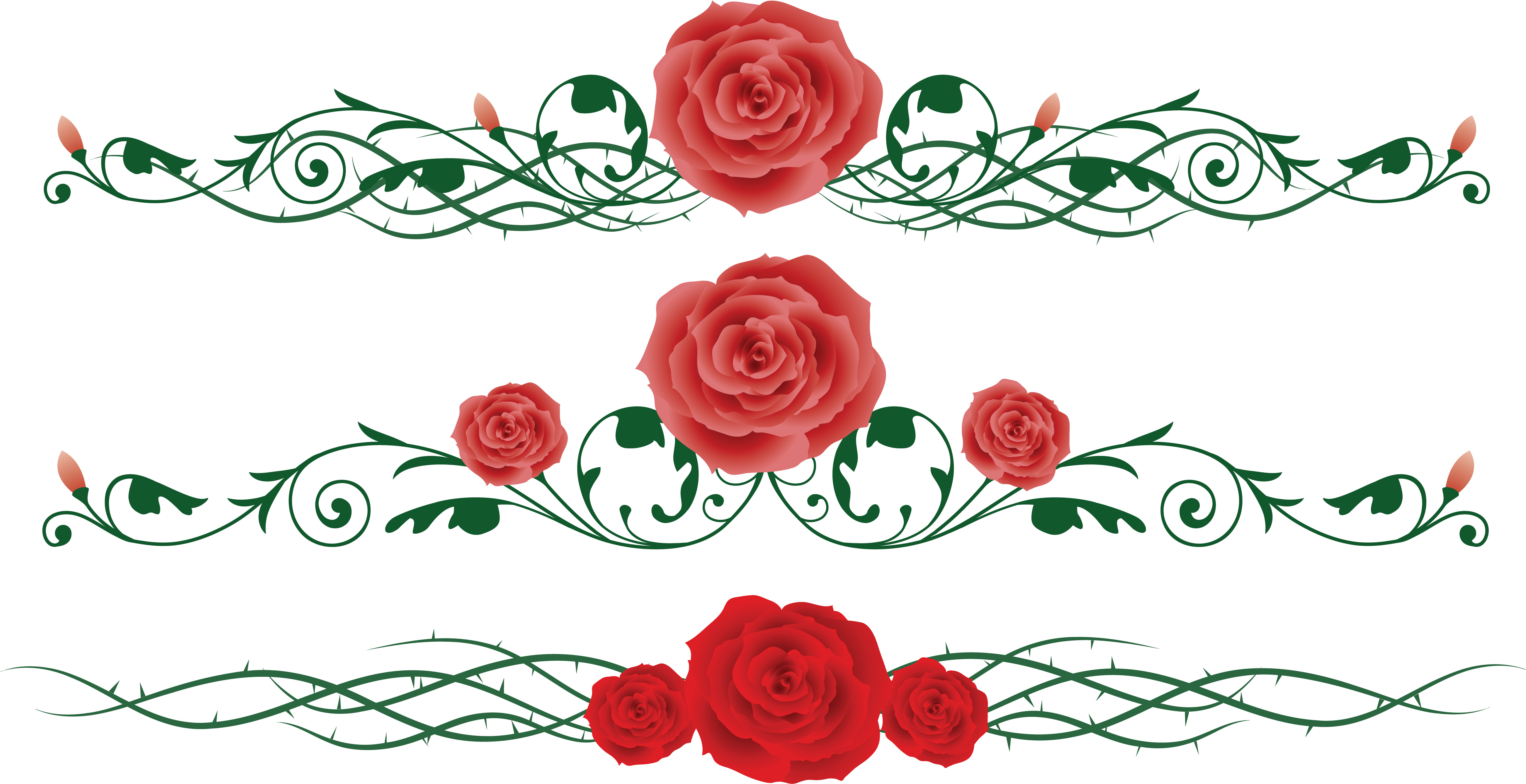 And Flower Chinese Rose Vine Thorns, Prickles Clipart - Rose On Vine Clip Art (5206x2685), Png Download