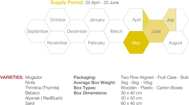 Apricot Apricot Timeline1 - Graphic Design (700x500), Png Download