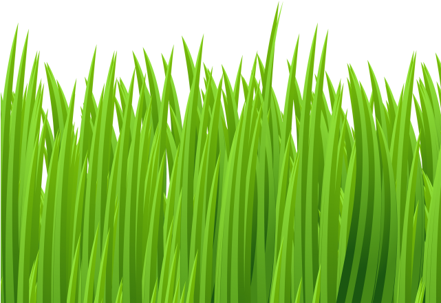 Ground Clipart Green Grass - Grass Clip Art Png (640x480), Png Download