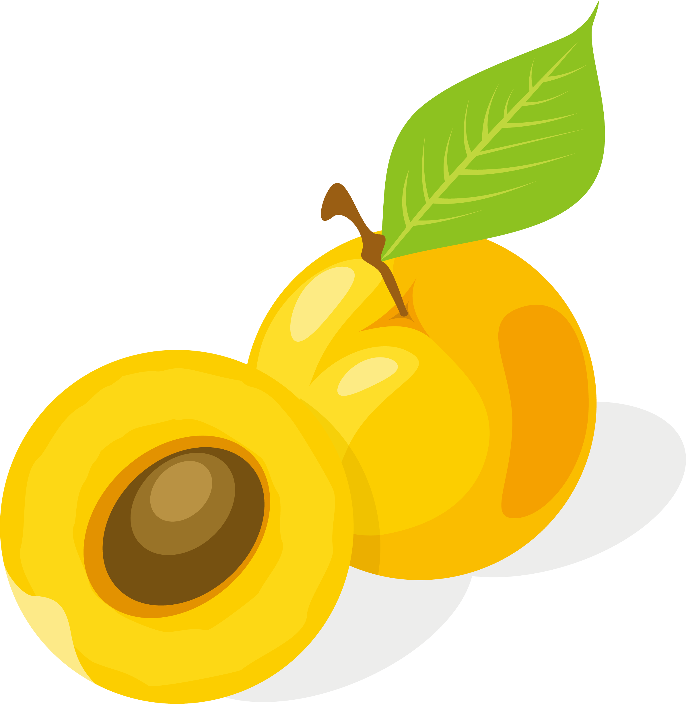 Apricot Drawing Fruit - Cartoon Apricot Png (2391x2452), Png Download