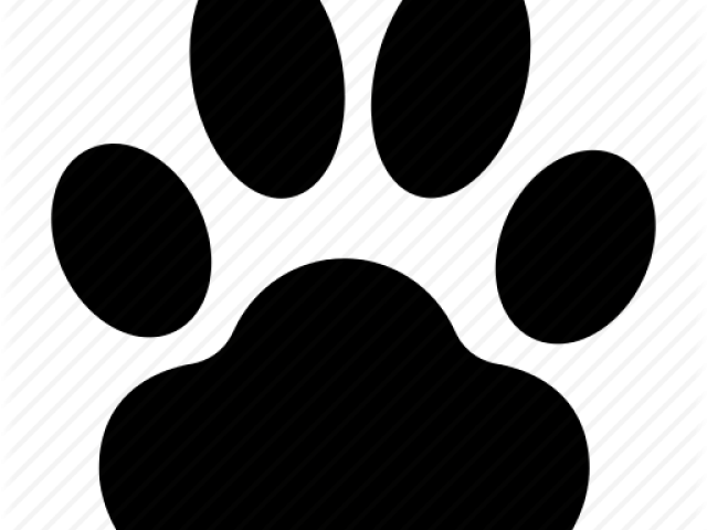 Pictures Of Animal Paw Prints - Paw Print Dog Icon Transparent Background (640x480), Png Download