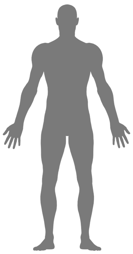 Our Bodies - Electro Interstitial Scan (429x819), Png Download