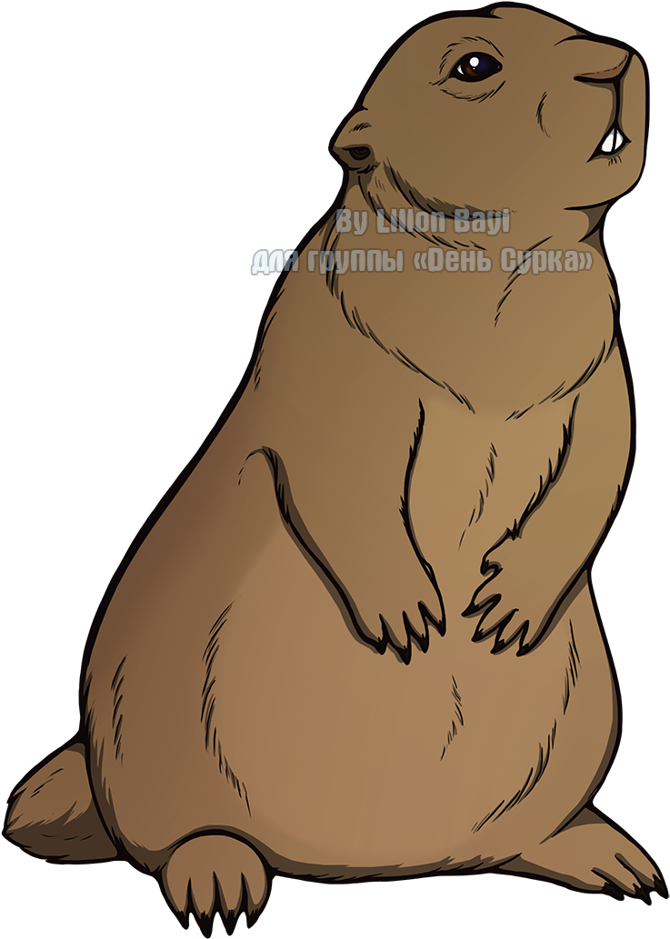 California Sea Lion (924x1229), Png Download