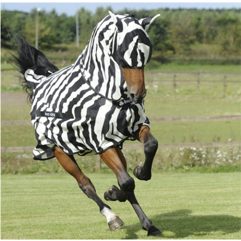 Buzz-off Zebra Fly Mask Xs - Horse Cross Breed Zebra (750x480), Png Download