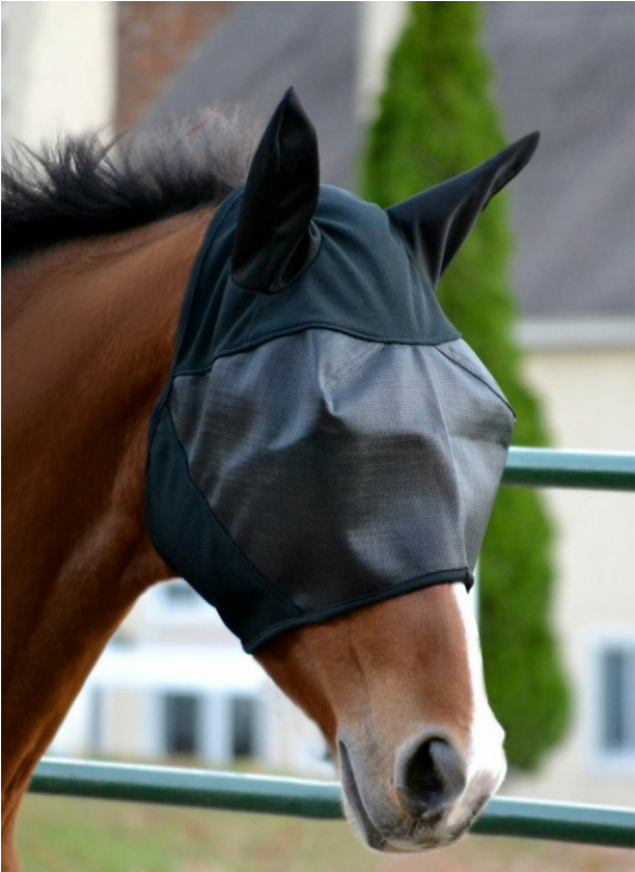 Absorbine Ultrashield Fly Mask With Ears - Stallion (800x800), Png Download