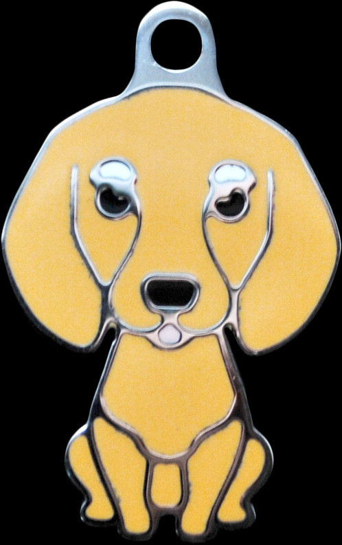 Basset Hound (498x793), Png Download