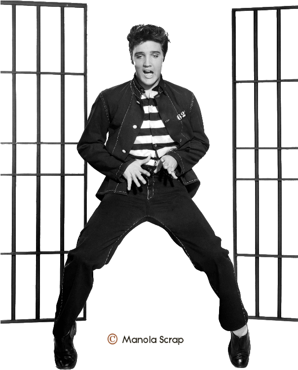 Tubes Personnes Célèbres Page 2 Elvis Presley - Elvis Presley Jailhouse Rock (606x780), Png Download