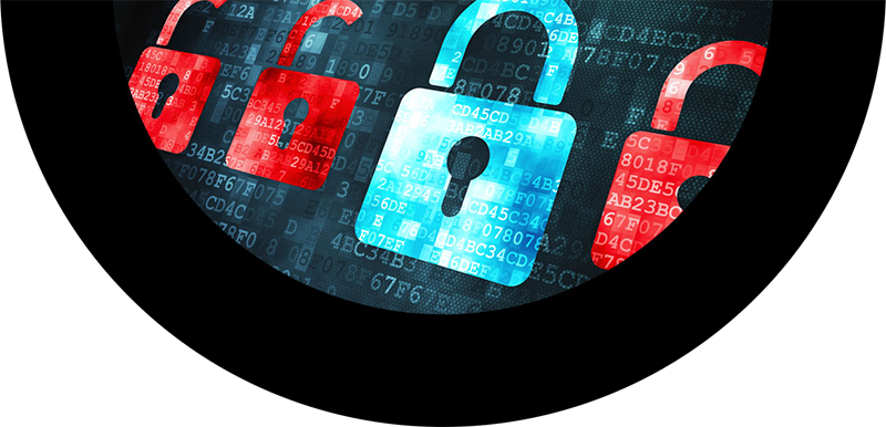 Circle (800x386), Png Download