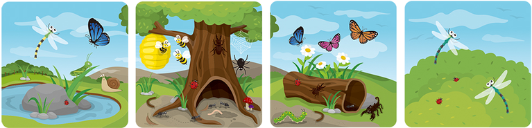 1078 M1 - Cartoon (800x800), Png Download