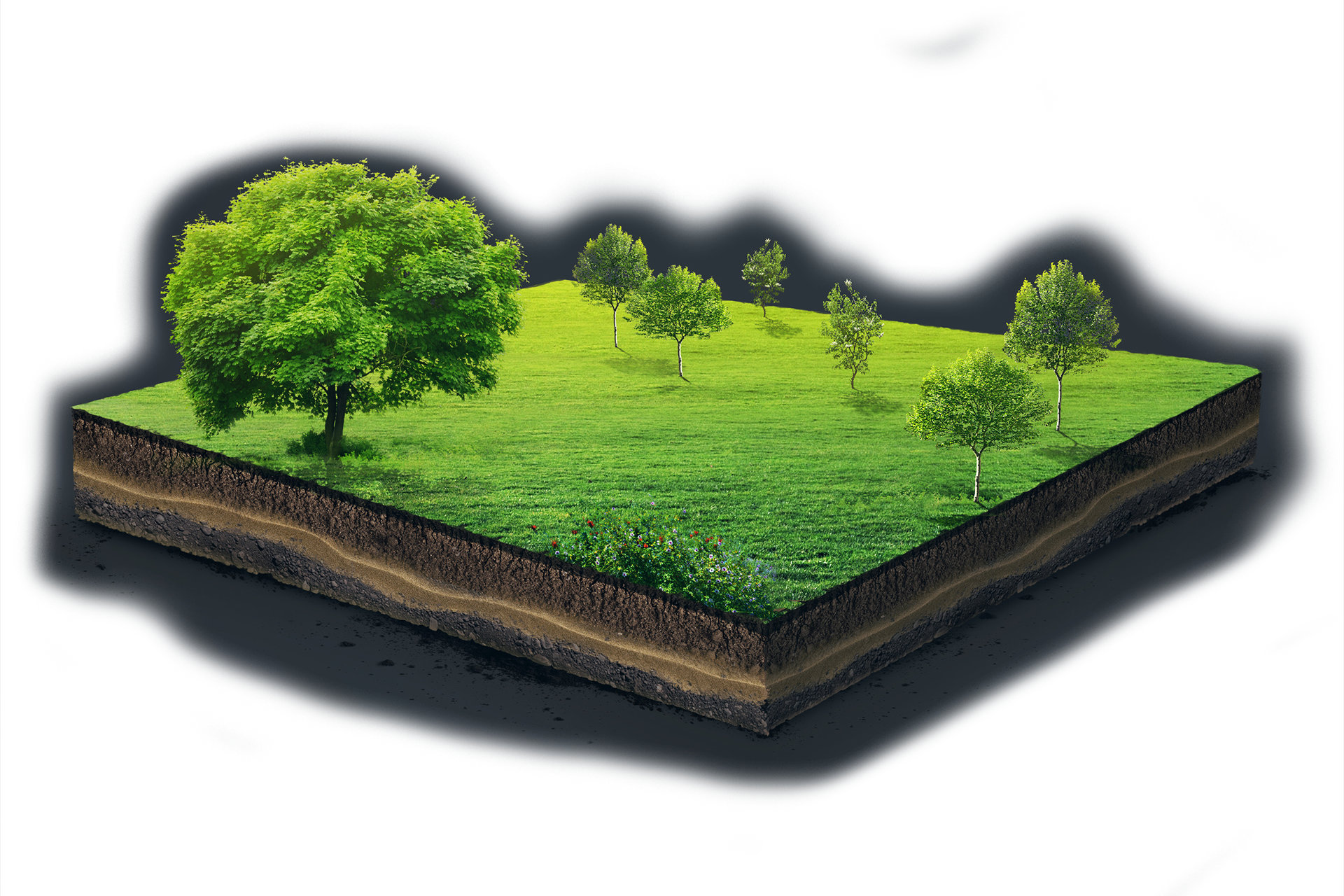 Adobestock 140253008 - Tree (1920x1280), Png Download