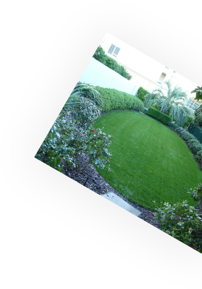 Learn How - Lawn (480x828), Png Download
