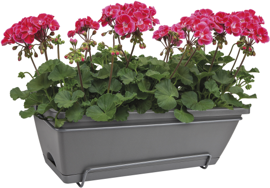 Home > Collection > Barcelona Allin1 50cm - Flowerpot (750x750), Png Download