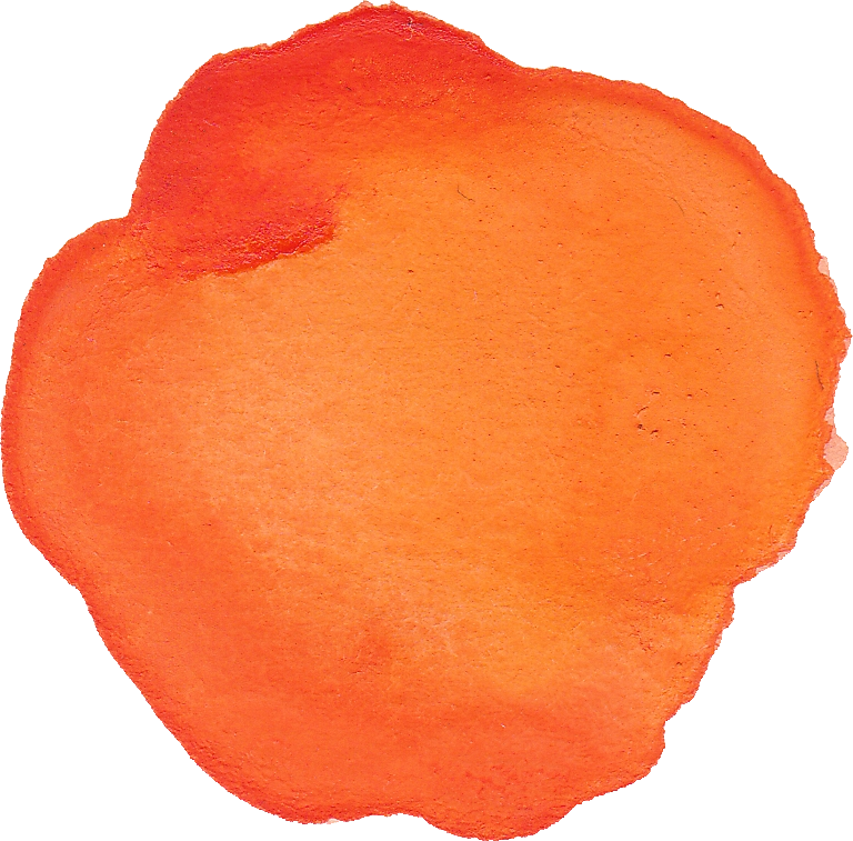 Free Download - Background Circle Orange Png (768x757), Png Download