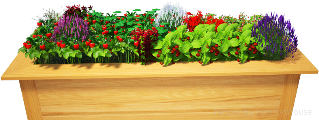 3d Decorative Flower Bed - Lobelia (1140x570), Png Download