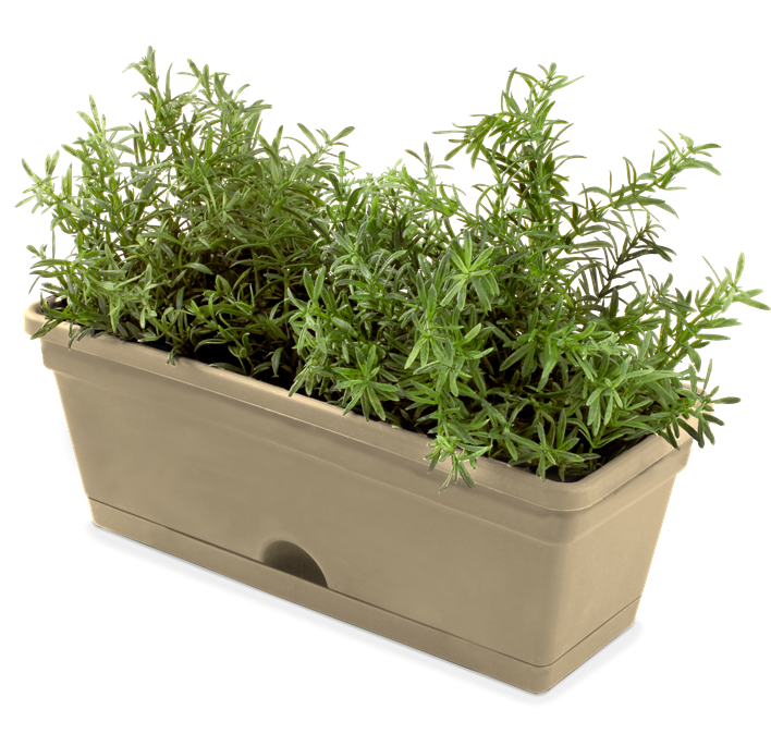 Whites Vertical Garden Mix'n'match Herb Pot - Herb Pot (800x800), Png Download