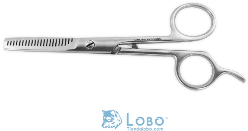 Belleza/tijeras Entresacar/tijera Entresacar 2 Hoja - Scissors (1000x666), Png Download