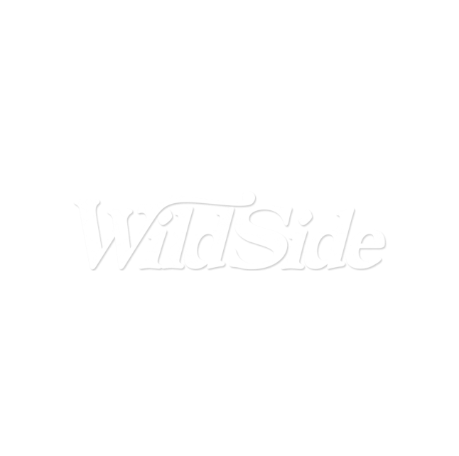Mandala Star Pattern - Illustration (675x675), Png Download