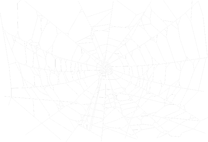 Spider Web (702x480), Png Download